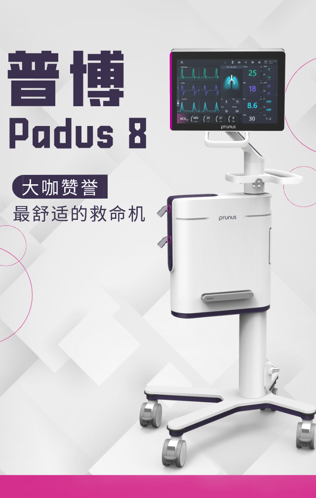 新盛公司游戏官网 - 卓越成就将来