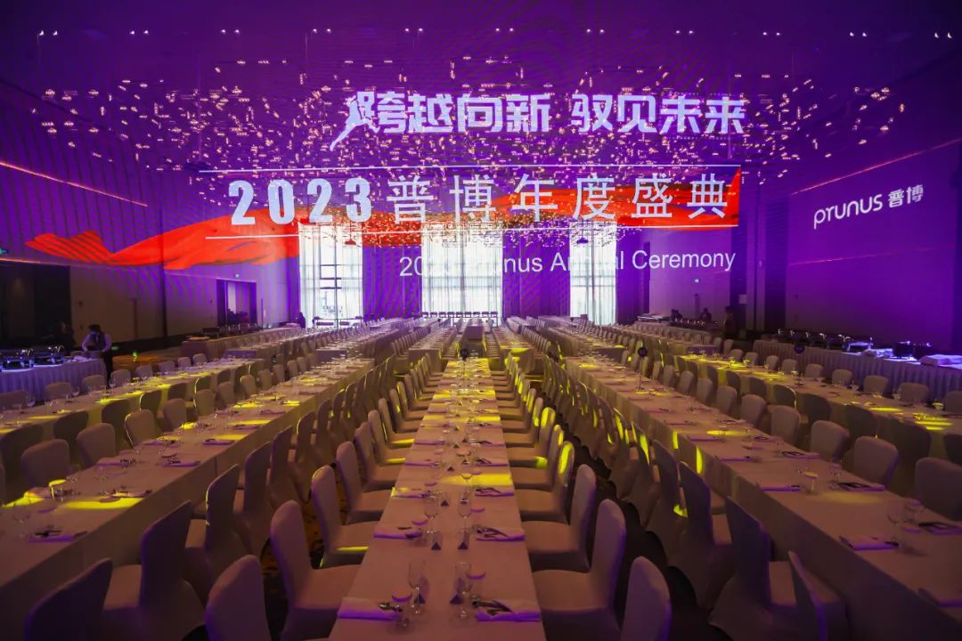 新盛公司游戏官网 - 卓越成就将来