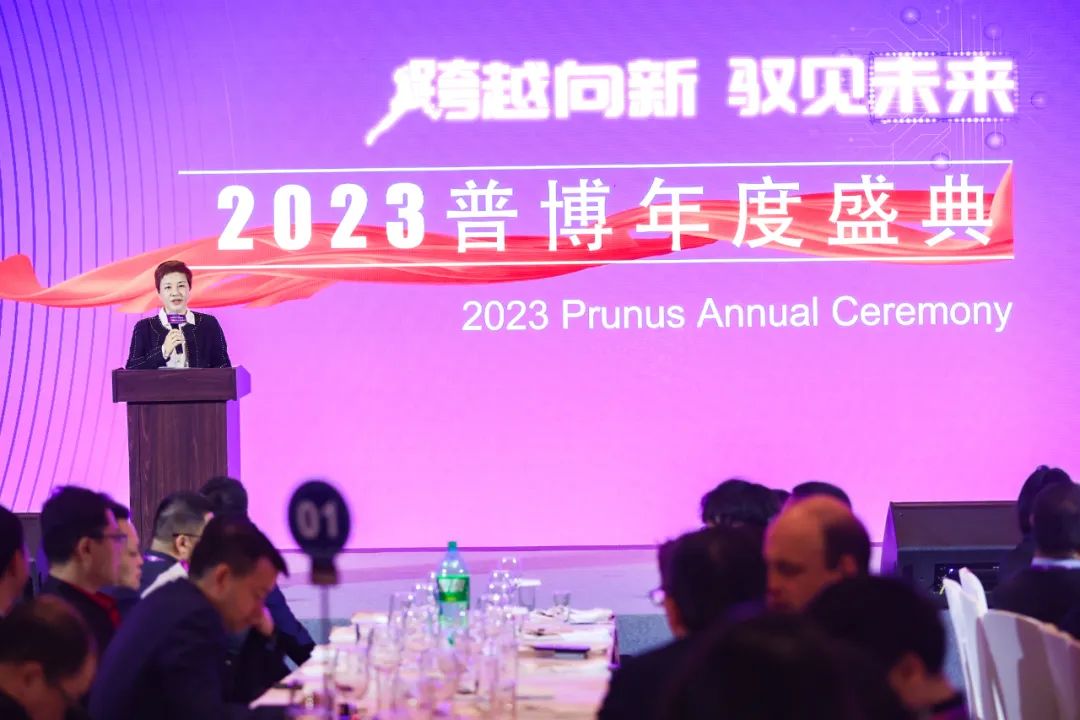 新盛公司游戏官网 - 卓越成就将来