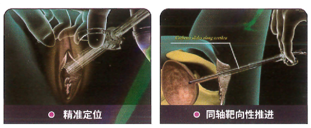 新盛公司游戏官网 - 卓越成就将来