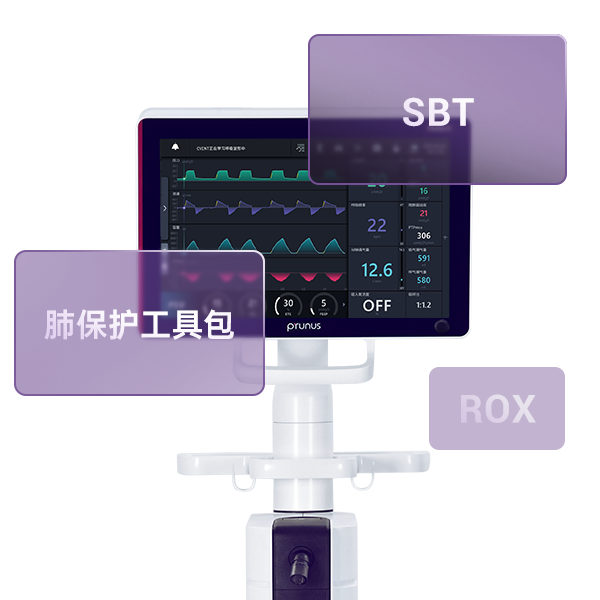 新盛公司游戏官网 - 卓越成就将来